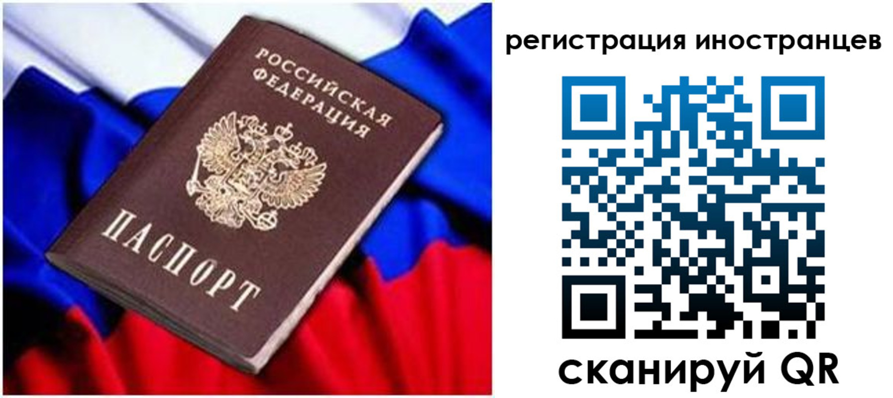 прописка для школы в Волосово